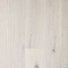 SAGA Exclusive Pearl Oak - Bilde 2