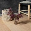 Bjelin Hittarp 3.0 XXL – Herdet Tre – Plank 27 cm, Nature, Hardvoksoljet - Bilde 4