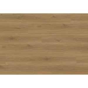Isocore Promo Macadamia