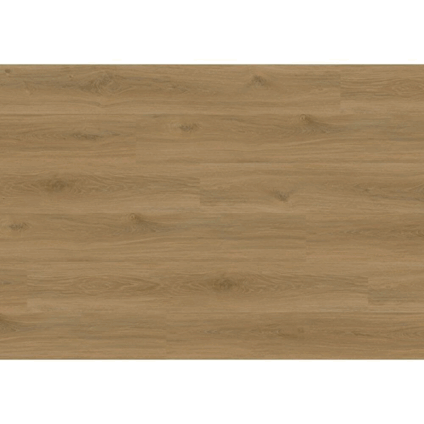Isocore Promo Macadamia